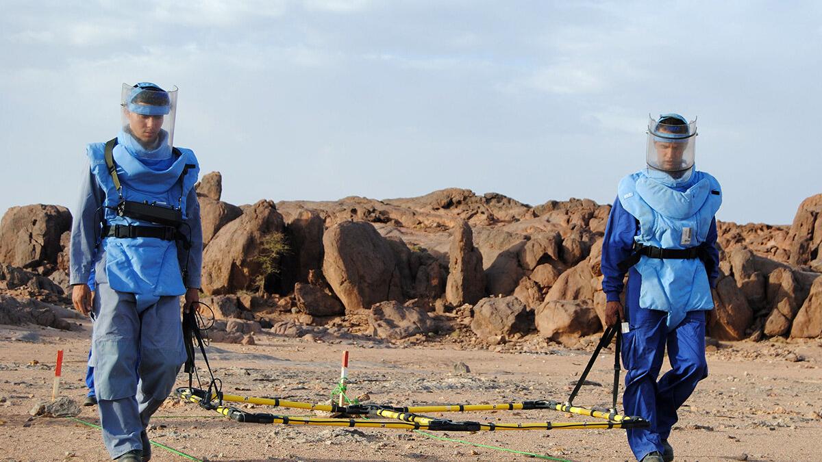 two demining operators areworking on the field