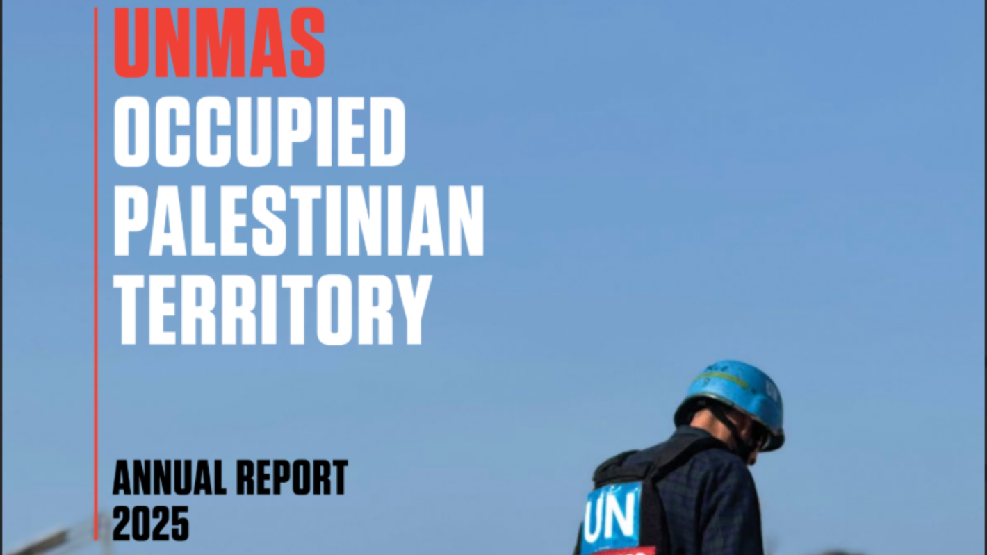United Nations Mine Action Service | UNMAS