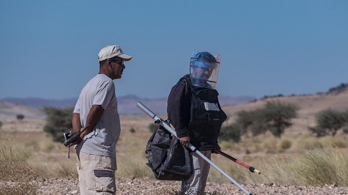 a deminer is working on a field with a detector and a man in grey T-shirt is standing beside