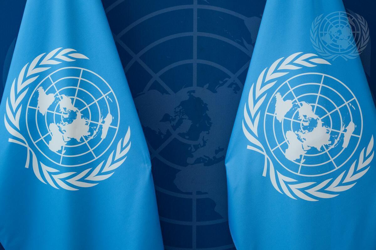 UN FLAG