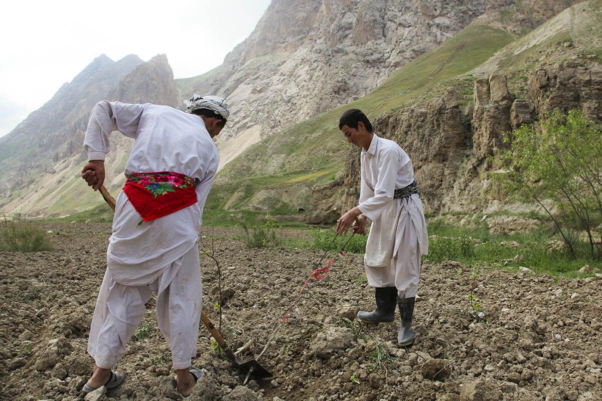 two men are working on a field with a shovel