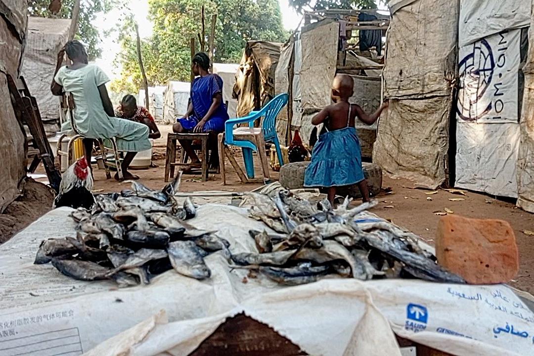 UN Peacekeeping UNMISS South Sudan