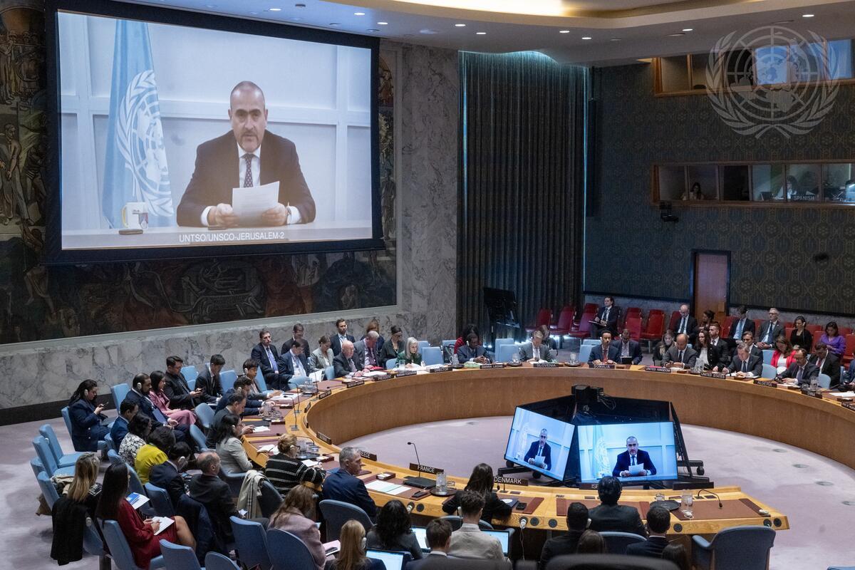 security council briefing