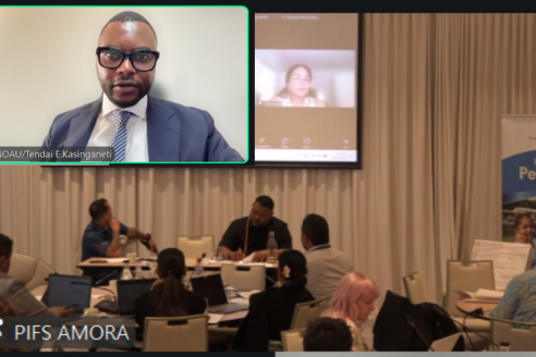 UNOAU participates in the Regional Dialogue on Climate Security in the Pacific (2)