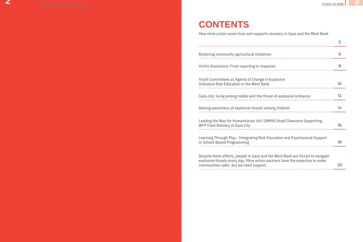 UNMAS OPT: Stories of Hope - Page 3