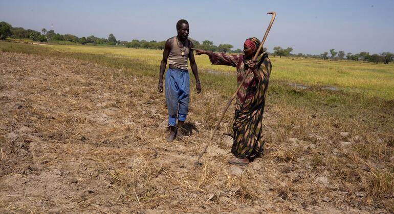 A man and a woman in the fields.