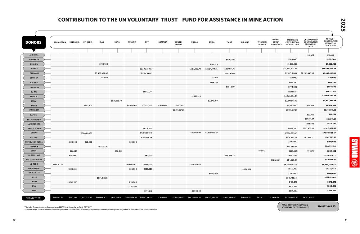 UNMAS Annual Report 2025