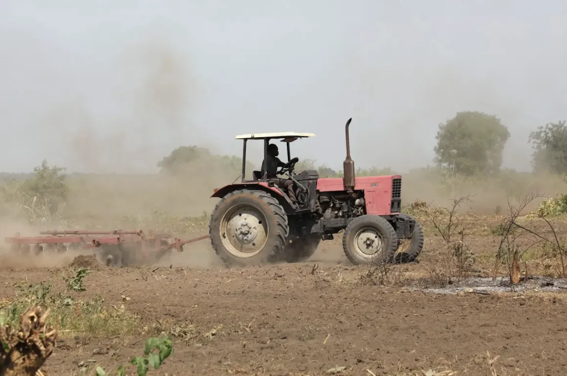 A member of the Wounded Heroes group works on his farm in Bilinyang Payam. Members of the group are internally displaced former soldiers who sustained injuries during South Sudan’s conflict and now use farming to support their families.